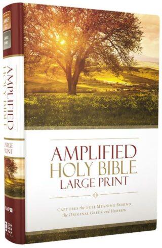 9780310444039 Amplified Bible Large Print