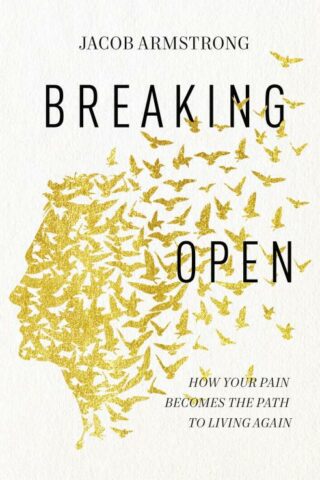 9780785258322 Breaking Open : How Your Pain Becomes The Path To Living Again