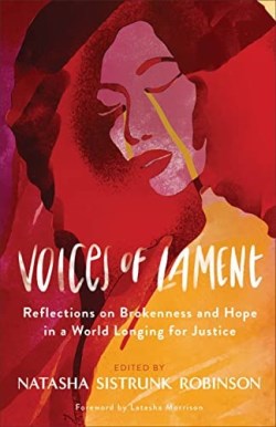 9780800740900 Voices Of Lament