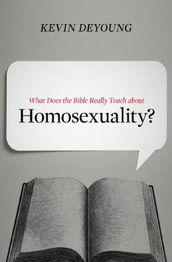 9781433549373 What Does The Bible Really Teach About Homosexuality