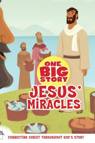 9781535954938 Jesus Miracles One Big Story