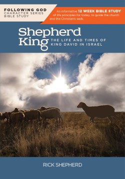 9781617155345 Shepherd King : The Life And Times Of King David In Israel