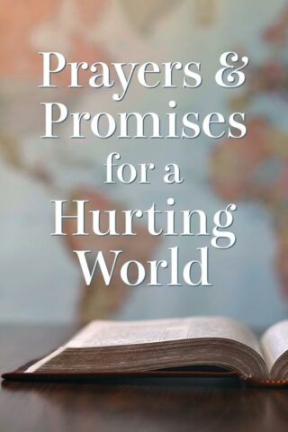 9781643529165 Prayers And Promises For A Hurting World