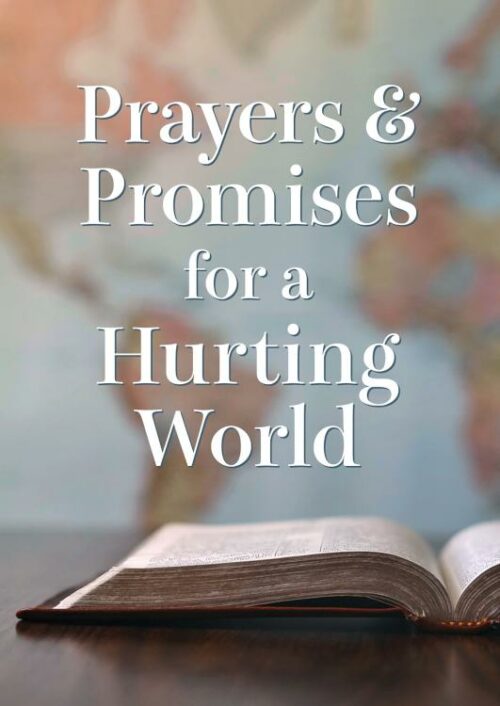 9781643529165 Prayers And Promises For A Hurting World