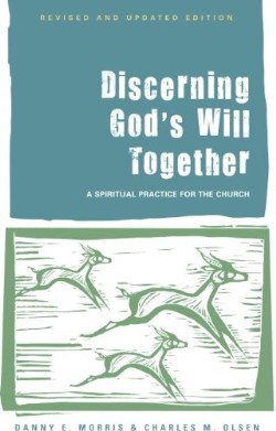 9781566994255 Discerning Gods Will Together (Revised)