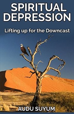 9781684111824 Spiritual Depression : Lifting Up For The Downcast