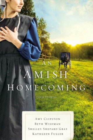 9780785218487 Amish Homecoming : Four Stories