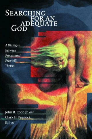 9780802847393 Searching For An Adequate God A Print On Demand Title