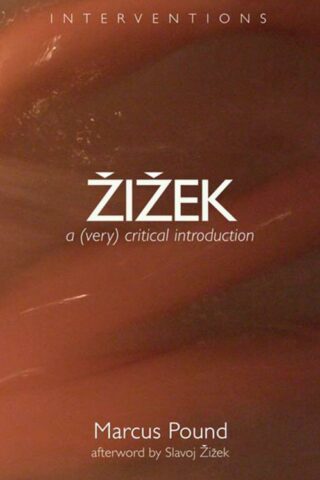9780802860019 Zizek : A Very Critical Introduction