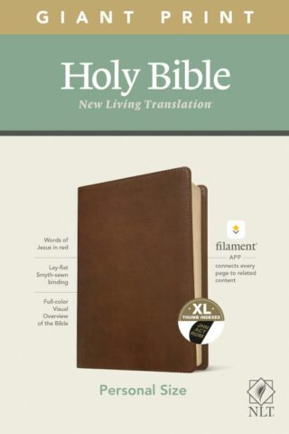 9781496445285 Personal Size Giant Print Bible Filament Enabled Edition