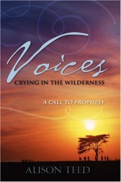 9781604774160 Voices Crying In The Wilderness