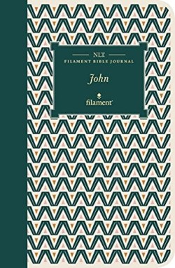 9781496458575 Filament Bible Journal John