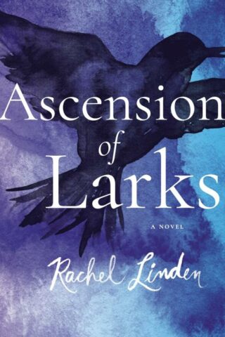 9780718095734 Ascension Of Larks