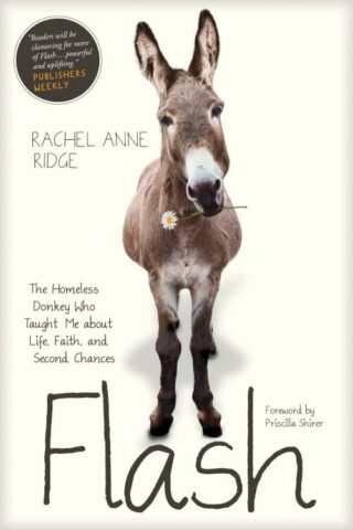 9781414397849 Flash : The Homeless Donkey Who Taught Me About Life Faith And Second Chanc