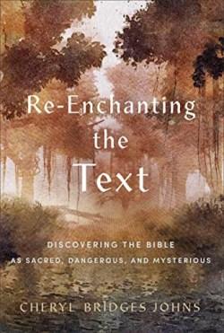 9781540965134 ReEnchanting The Text