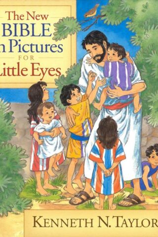 9780802430571 New Bible In Pictures For Little Eyes