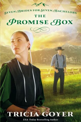 9780310335122 Promise Box