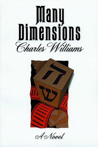 9780802812216 Many Dimensions : A Novel