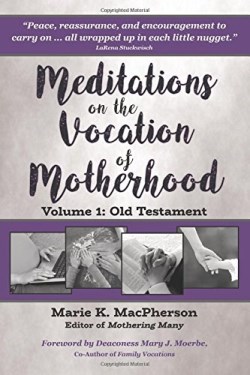 9780985754365 Meditations On The Vocation Of Motherhood Old Testament