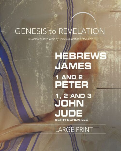 9781501855375 Hebrews-Jude Participant Book (Large Type)