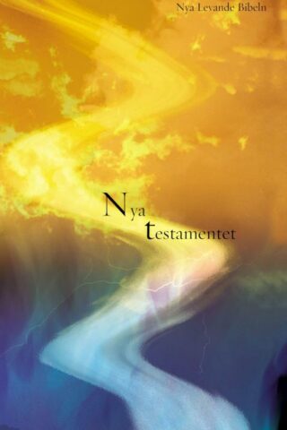 9781563207075 Swedish New Testament