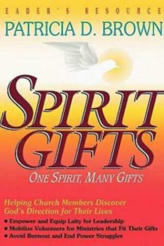 9780687008575 Spirit Gifts Leaders Resources (Teacher's Guide)