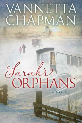 9780736956079 Sarahs Orphans : A Novel