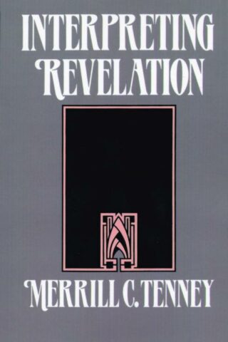 9780802804211 Interpreting Revelation A Print On Demand Title