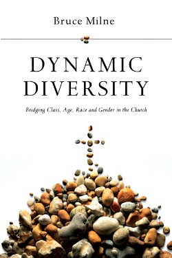 9780830828067 Dynamic Diversity : Bridging Class Age Race And Gender In The Church