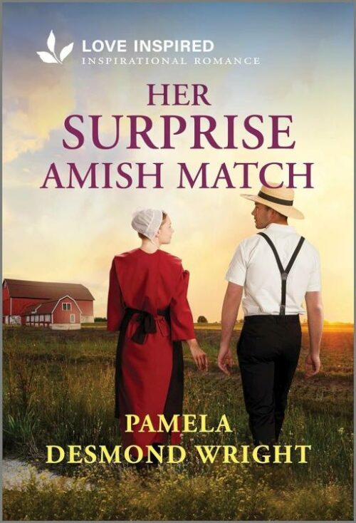 9781335936714 Her Surprise Amish Match