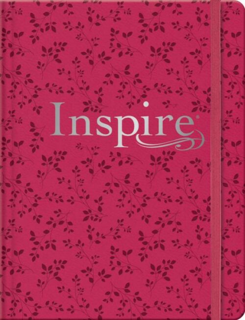 9781496474100 Inspire Bible Filament Enabled Edition