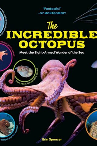 9781635866285 Incredible Octopus : Meet The Eight-Armed Wonder Of The Sea