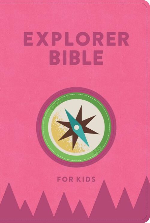 9798384502272 Explorer Bible For Kids