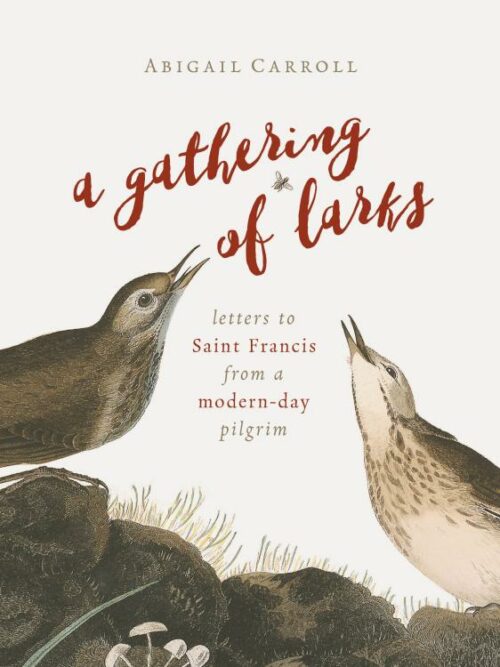 9780802874450 Gathering Of Larks