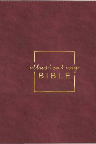 9798886028621 Illustrating Bible