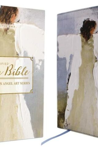 9780310461593 Amplified Holy Bible Anne Neilson Angel Art Series