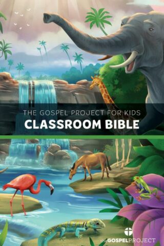 9798384515432 Gospel Project For Kids Classroom Bible