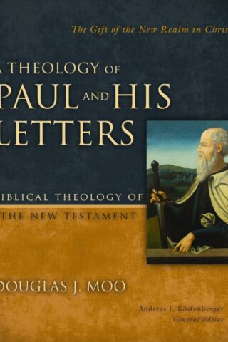 9780310270904 Theology Of Paul And His Letters