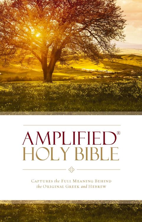 9780310443872 Amplified Bible