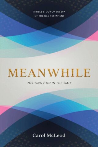 9781563095566 Meanwhile : Meeting God In The Wait - A Bible Study Of Joseph Of The Old Te