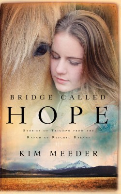 9781590526552 Bridge Called Hope