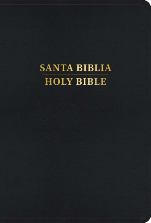 9798384500520 RVR 1960 KJV Bilingual Bible Large Print