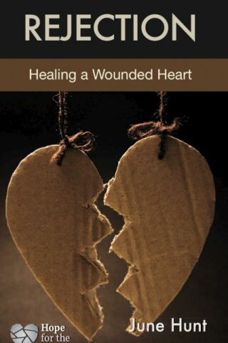 9781596366787 Rejection : Healing A Wounded Heart