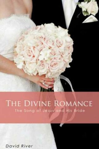 9781606471166 Divine Romance