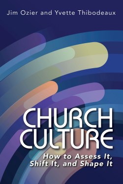 9781791033842 Church Culture : How To Assess It