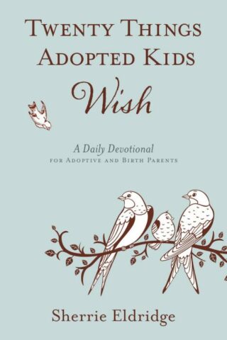 9781596694217 20 Things Adoptive Kids Wish