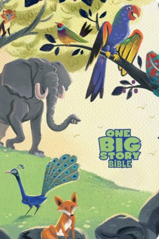 9798384517580 1 Big Story Bible