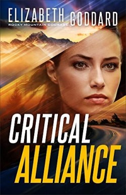 9780800741501 Critical Alliance