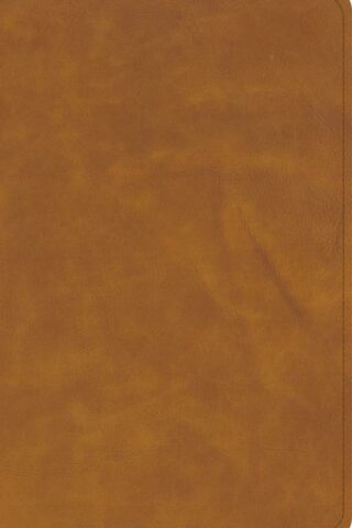 9798384525431 Personal Size Bible