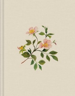 9798874900267 Single Column Journaling Bible